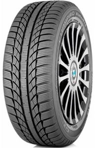 GT Radial: Champiro Winterpro