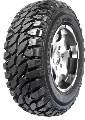 HiFly: VIGOROUS MT601