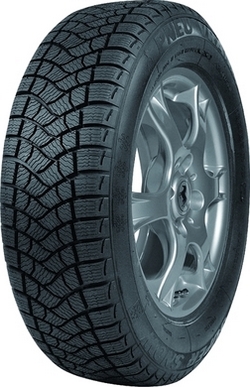 Protektor: Targum Snow 2